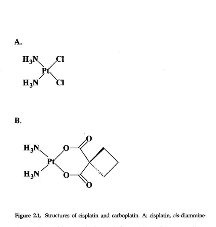 Figure  2.1.  Structures  of cisplatin  and  carboplatin.  A: cisplatin,  cis-diammine- cis-diammine-dichloroplatinum(II)