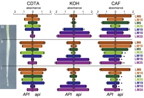 Figure 6. Cell Walls of api Display Altered Biochemical Properties