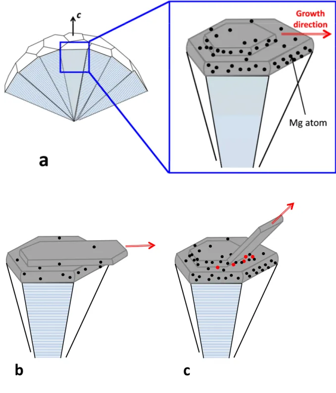 Figure 10 – Schematic of spheroidal growth of graphite following a 2D nucleation and growth  model (a) where Mg atoms adsorb preferentially on the prismatic planes [56]