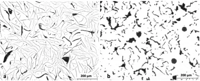 Figure 3 – Comparison of the microstructure of lamellar (a) and compacted (b) graphite cast  irons solidified in a thermal cup