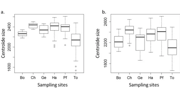 Fig. A1. Variation in the size of the right wing between sampling sites in (a) males and (b) females