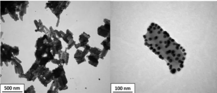 Fig. 1 TEM images of [Fe(Htrz) 2 (trz)](BF 4 )@AuNPs with 10 nm gold particles. 