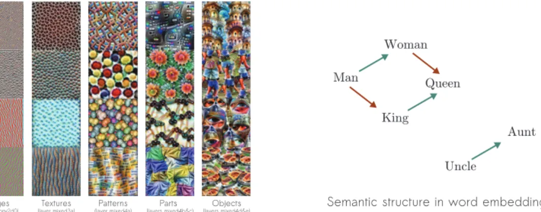 Figure 3.4. Left: Interpretable features learned on ImageNet as observed in Olah et al