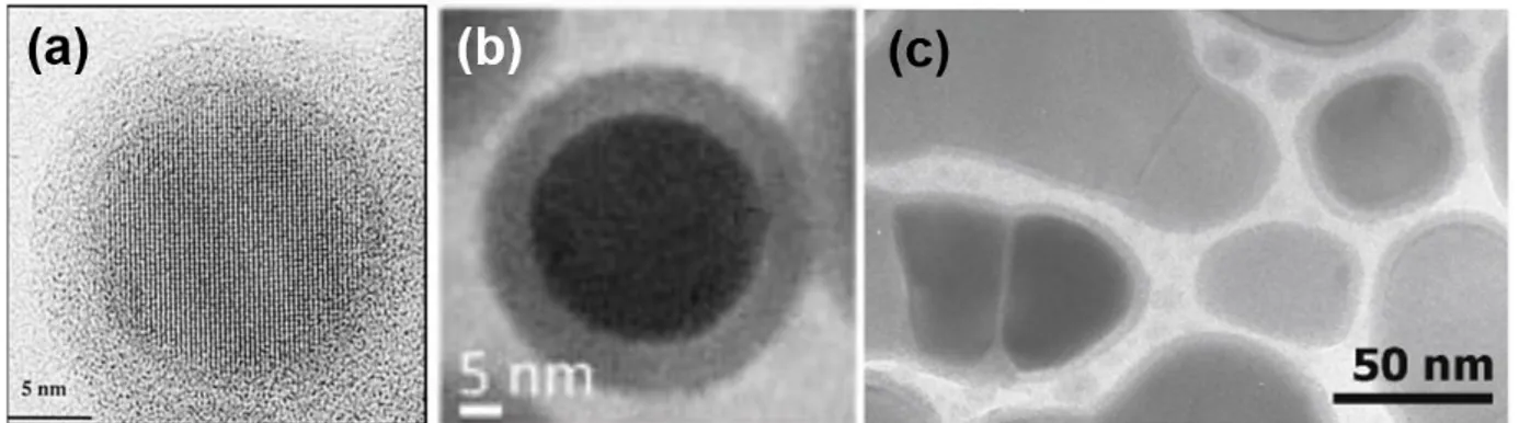 Figure III.20 : Nanoparticules d’étain entourées d’une coquille amorphe d’oxyde d’étain : (a)  Nayral et al