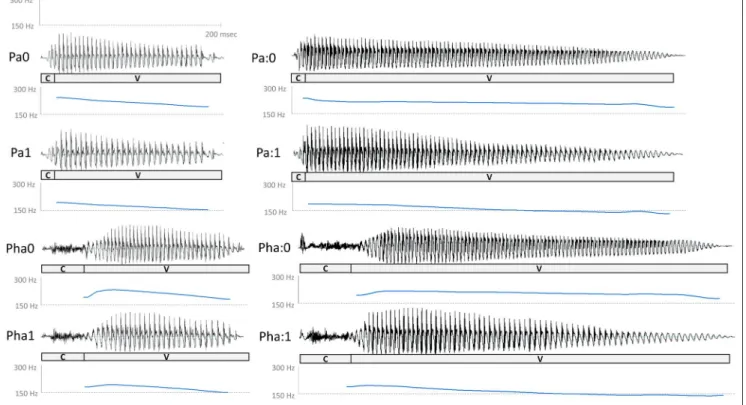 Figure 1. Illustration of the eight Thai stimuli. Waveforms are represented on the top (time in abscissa, amplitude in ordinate), and pitch contours are represented on the bottom (time in abscissa, F0 in ordinate)