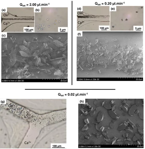 Figure 2. Overview of CaOx crystal precipitation under standard conditions Q tot  of (a-c) 2.00  μL.min -1 , (d-f) 0.20 μL.min -1  and (g-h) 0.02 µL.min -1  with (a, d &amp; g) Optical micrographs of CaOx  precipitates inside the microchannel; (b &amp; e) 