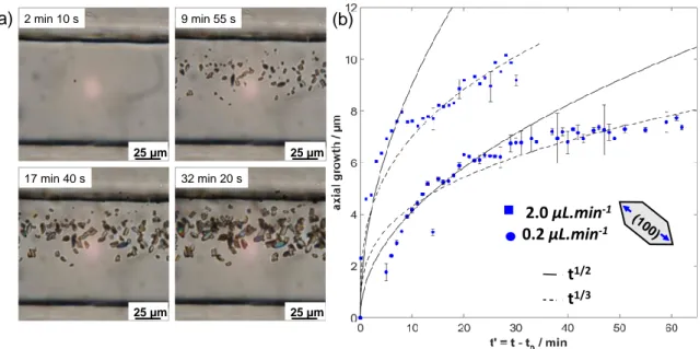 Figure 3. In situ monitoring of CaOx crystal growth as a function of time in the collecting duct- duct-like microchannel: (a) set of images depicting the growth of CaOx crystals at different times  (magnification 400×)