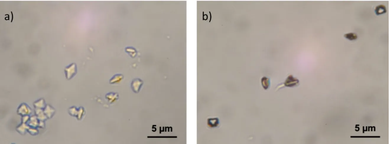 Figure  S1.  Optical  micrographs  of  collected  CaOx  crystals  at  the  outlet  of  the  microfluidic platform for a) 2.00 μL.min -1  (Figure 2a) and b) 0.20 μL.min -1  (Figure 2b)