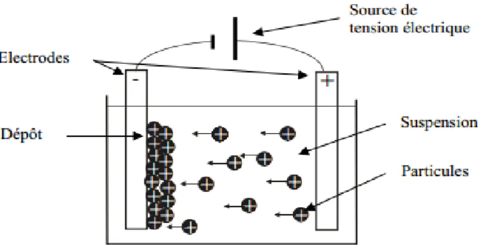 Figure I- 1 : Schéma de principe du procédé de dépôt par électrophorèse [14]. 