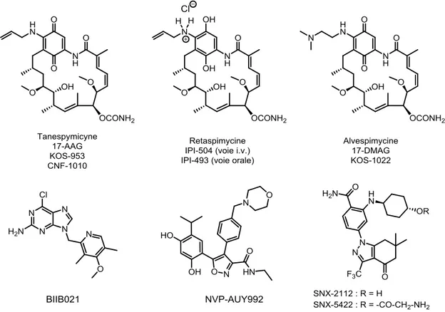 Figure 8 : Six inhibiteurs de la Hsp90 en essai clinique dont la structure chimique est connue