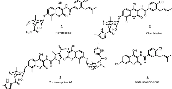 Figure 9 : Structures de la novobiocine, de la clorobiocine et de la coumermycine A1. 