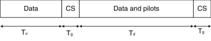 Fig. 1. Structure of the OFDM block