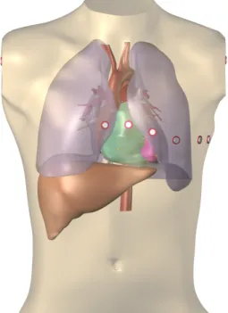 Figure 2. Heart-torso model used for the ECG simula- simula-tions, with the 9 electrodes of the standard 12-lead ECG.