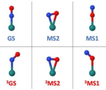 Figure 2. Illustration of the Ru–N–O geometrical arrangement in the singlet ground-state structures  (GS, MS2, MS1) and in the triplet excited-states intermediates ( 3 GS,  3 MS2,  3 MS1)