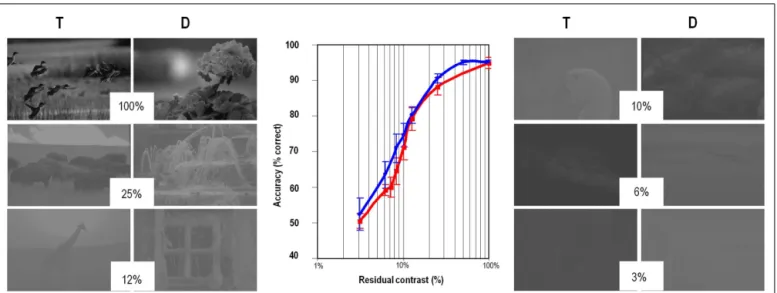 FIGURE 3 | Categorization accuracy (T for animal target and D for non-animal distracters) is robust to reduction of contrast.