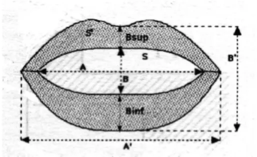 Figure 4: Finger x-coordinates during the /V IN GT HU IT / word production by the deaf cuer.