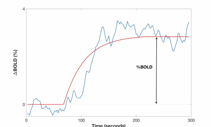 Figure 1: Representative global BOLD time course (blue) and the least-squares fit (red) during  the hyperoxia challenge