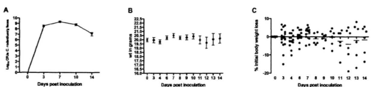 Figure 2-1.  Infection kinetics and body weight  changes in C57BL/6 mice infected  with C