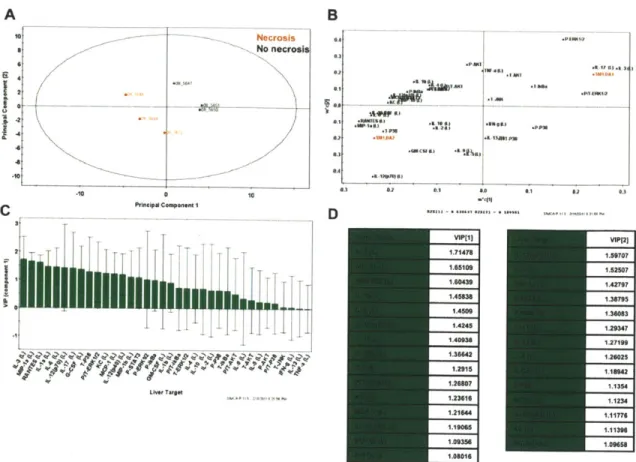 Figure 2-10. Liver specific PLS-DA  analysis  of C. rodentium infected  C57BL/6  mice at 3 DPI