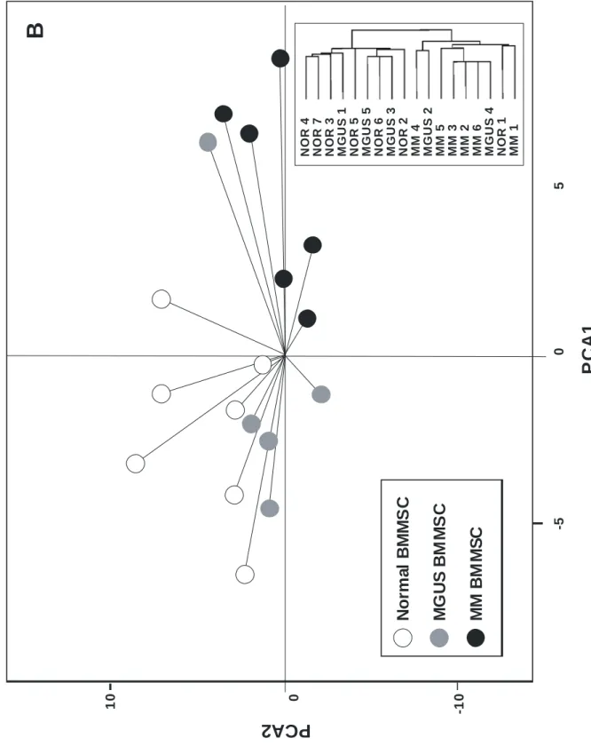 Figure 2b  Normal BMMSC MGUS BMMSC MM BMMSC PCA1