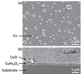 Fig. 3. GD-OES profiles of a 50 nm thick film deposited at P 0,5 d 5 on quartz sub- sub-strate and annealed in air