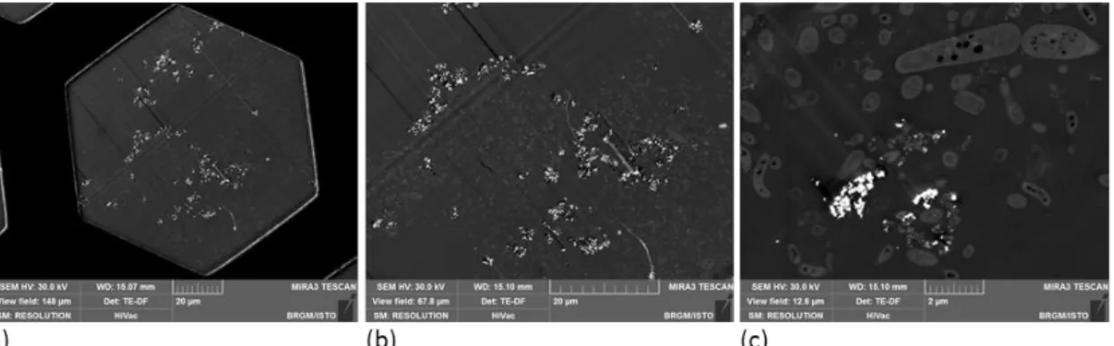 Fig. 12: Observation of the repartition of Iron nanoparticles in a biofilm  (a) view field 148 µm (a complete grid hole)  (b) 67.8 µm  (c) 12.6µm 