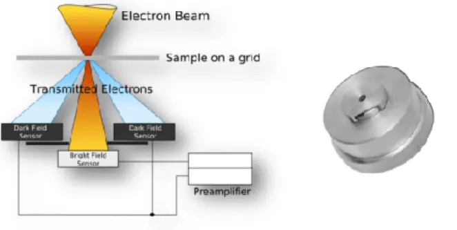 Fig. 2 : Schematic view of the STEM detector (doc. Tescan) 
