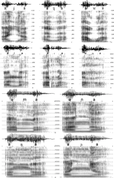 Figure  1.7  Oscillogramme  et  spectrogramme  des  consonnes  sonantes  (approximantes, vibrantes et nasales) françaises produites par un homme  (lecture, logatomes, contexte [  _  ])