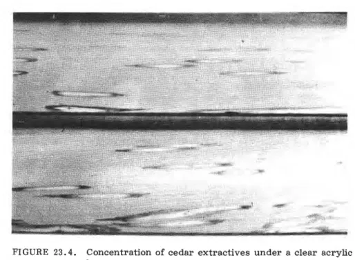 FIGURE  2 3 . 4 .   Concentration  of  cedar  extractives under  a clear  acrylic  lacquer