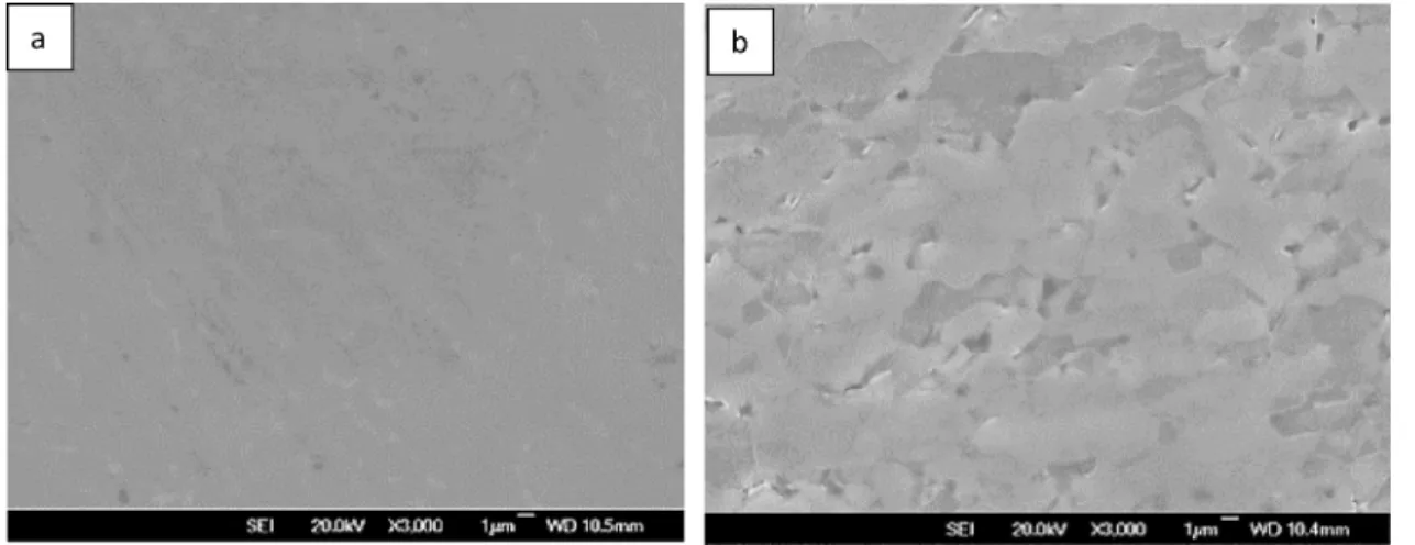 Fig. 3 shows the ﬂuorescence microscopy images of etched titanium surfaces (etching times of 1 h and 24 h) coated with