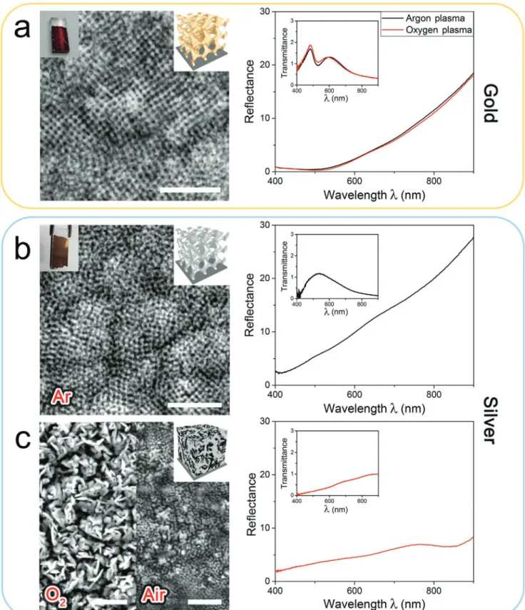 Figure 2.  Morphology and optical properties of free-standing metal gyroid networks after plasma etching using different gases
