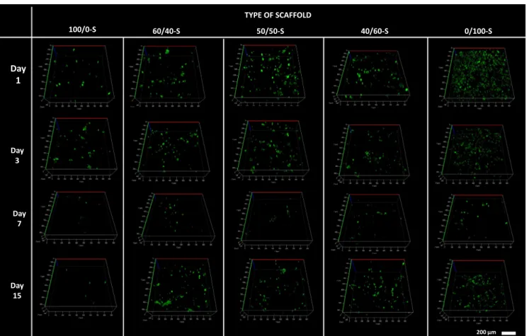 Fig. 5. Cell seeding of rat MSC cultured within reference and PEC 3D scaﬀolds. Confocal z-planes (from the surface: 1 to the bottom: 10) of MSC-seeded scaﬀolds observed after a Live/Dead staining (live cells in green and dead cells in red) 1, 3, 7 and 15 d