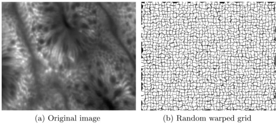 Fig. 2. Experiment using a random warp on a normal human colonic mucosa image (FCM). Image Courtesy of PD