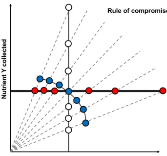 Fig. 4: Rule of compromise. When an animal is confined to  one of six imbalanced diets (black line), it has three options :  1) satisfy its requirement of Y no matter the lack or the excess  of X it will suffer (red dots – non interaction rule) 2) satisfy 