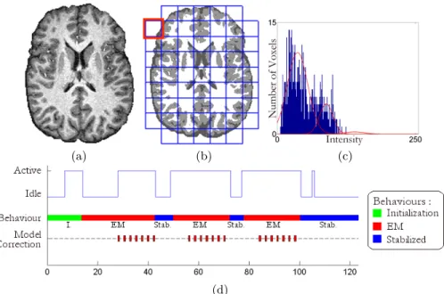Fig. 6. Evaluation of tissue segmentation (b) on a real 3T brain scan (a). Our imple- imple-mentation allows to observe the activity of each agent: (c) shows the local histogram of the red-outlined agent in (b)