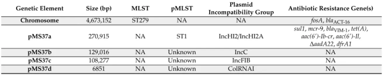 Table 1. Characteristics of chromosome and plasmids harbored by E. hormaechei MS37.