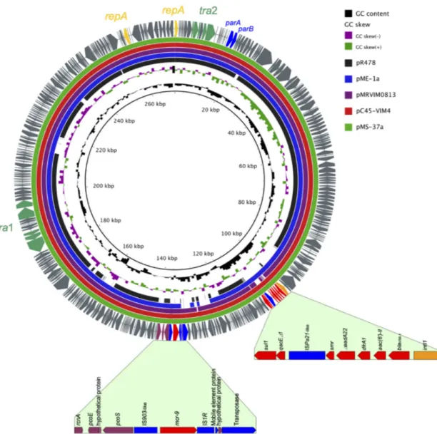 Figure 1. Circular map of bla VIM-1  and mcr-9-coharbouring IncHI2 plasmid compared to other reported  similar plasmids