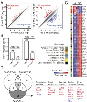 Fig. 4. (A) Scatter plot of gene expression differences between in vivo purified WT and PE tg preleukemic pro-B cells (Left) and between ex vivo E17.5 fetal liver Pax5 −/− pro-B cells transduced with either MIE-PAX5 or MIE retroviral vectors (Right) based 