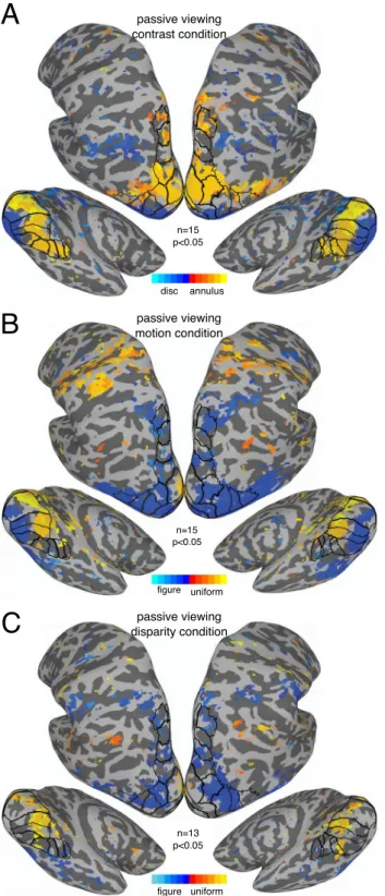 Figure 7.  Whole-brain results from Experiment 1. Vector-averaged phase maps, converted to seconds of  delay, thresholded at α  = 0.05