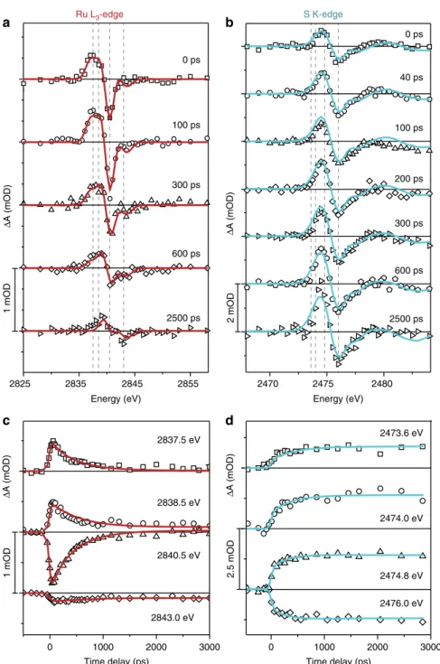 Fig. 4 Complete TR-XAS data measured for [Ru(bpy) 2 (pyESO)] 2+ and global ﬁ t results