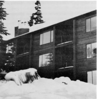 Figure 2. Chimney sheared off a sloping metal roof by heavy snow is lying is the foreground