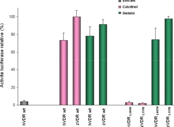 Figure  20 :  La  mutation  Leu337His  abolit  l’activité  génomique  du  VDR  humain  et  de  poisson- poisson-zèbre en présence du Calcitriol mais pas en présence du Gemini