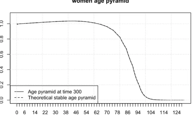 Figure 14: Comparison between the theoretical age pyramid and the age repartition at time 300 for females and males.
