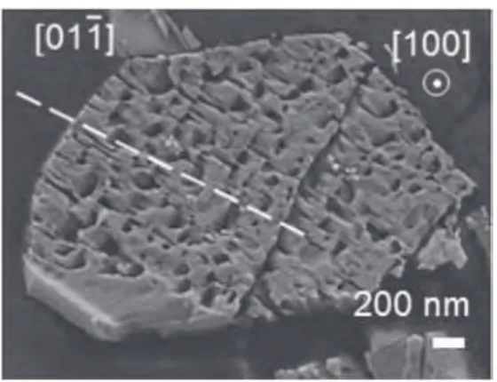 Fig. 4. Transversal section of a silver oxalate particle decomposed at 130 ! C for 10 h.