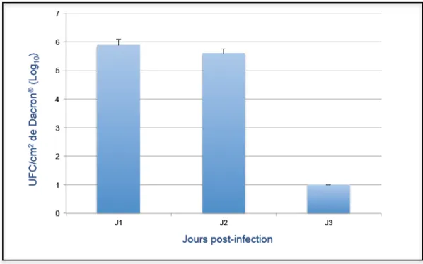 Figure  8b.  Résultats  des  comptes  bactériens  sur  Dacron ®   incubé  24  heures  avant  implantation dans du sérum de souris Swiss 