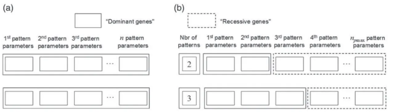 Figure 2. Individual genotype according to the chromosome encoding strategy: (a) with fixed (n) and (b) variable (n 2 [1, n pmax ]) number of patterns.