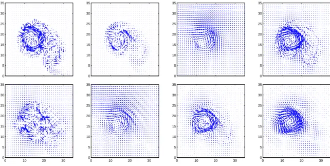 Figure 8: Zoom of the identified velocity fields between images I 0 and I 1 , using various regularizations, namely from left to right and from top to bottom: no regularization, R 0 , R 1 , R div , R curl , R div/curl , R ∇ div , R ∇div/∇curl .