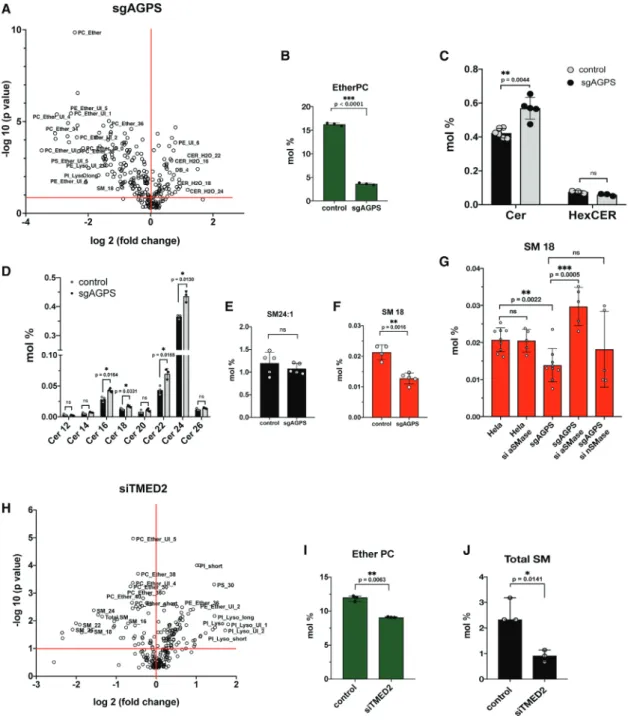 Figure 3. Lipidomic Analysis of Ether-Lipid-Deﬁcient Cells Conﬁrms the Crosstalk between Sphingolipids and Ether Lipids