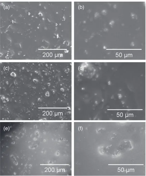 Fig. 5. SEM micrographs for the sol – gel ﬁ lms prepared by dispersion in the sol of 5 g L −1 (a) and (b), 10 g L −1 (c) and (d) and 20 g L −1 (e) and (f) of T 260 talc-like phyllosilicates.