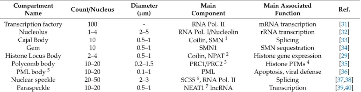 Table 1. Classic nuclear bodies: main characteristics and components.